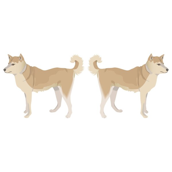 Finnish Spitz Dog Decal, Dog Lover Decor Vinyl Sticker